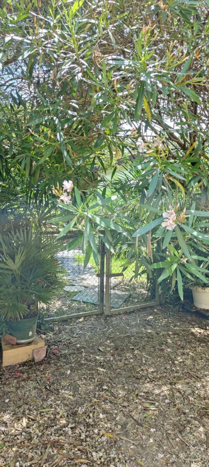 Villaluigia - Oasi Le Palme Padova Luaran gambar